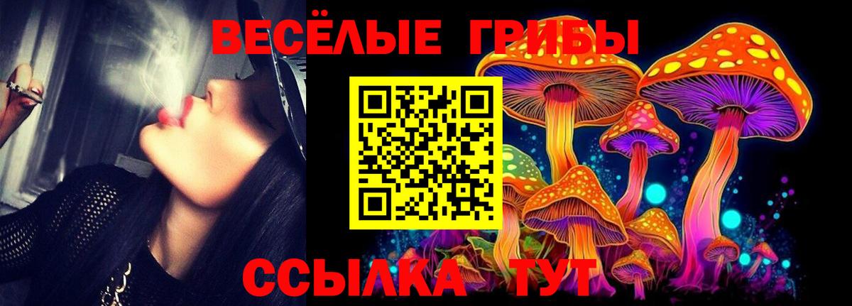 Галлюциногенные грибы Magic Shrooms  Вход с VPN  Серпухов 